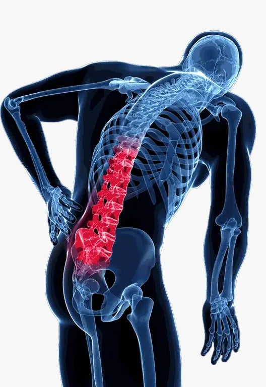 Faja Compresora Abdominal Lumbar médico